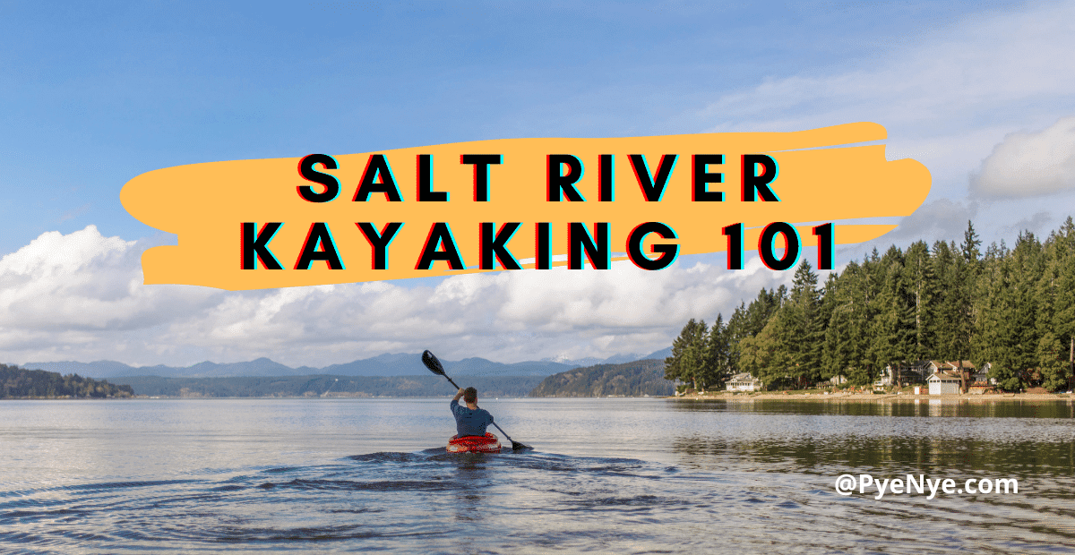 Fishing And Kayaking In The Salt River With Guidelines PyeNye
