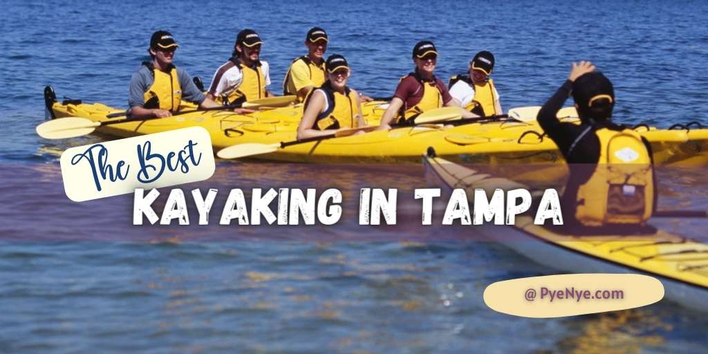 All The Best Places For Kayaking In Tampa PyeNye