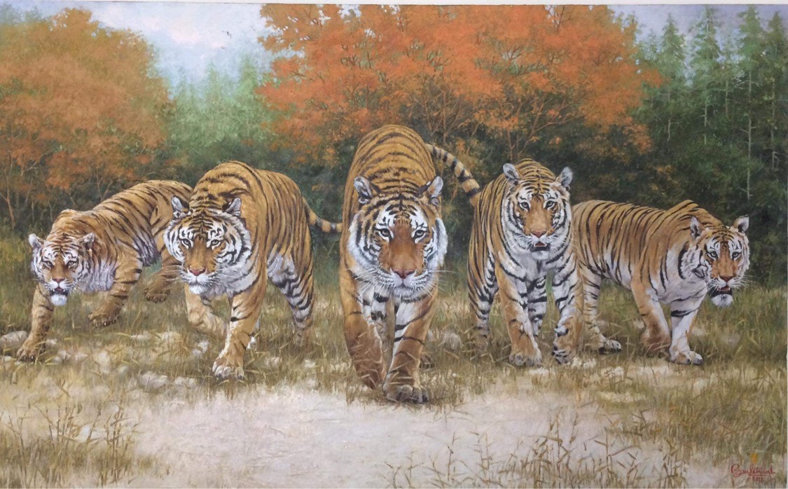 FIVE TIGERS PY Gallery