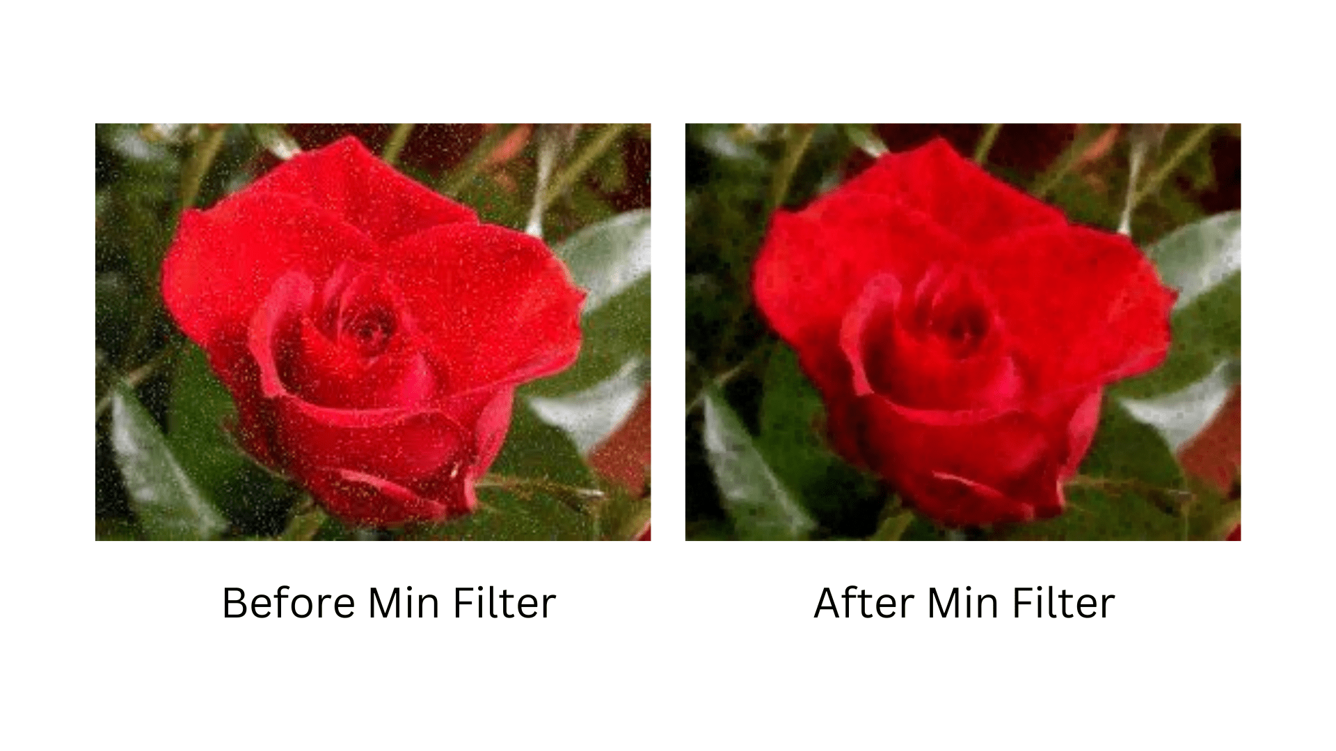 How to Implement the Min Filter for Image Processing in Python? PyiHub
