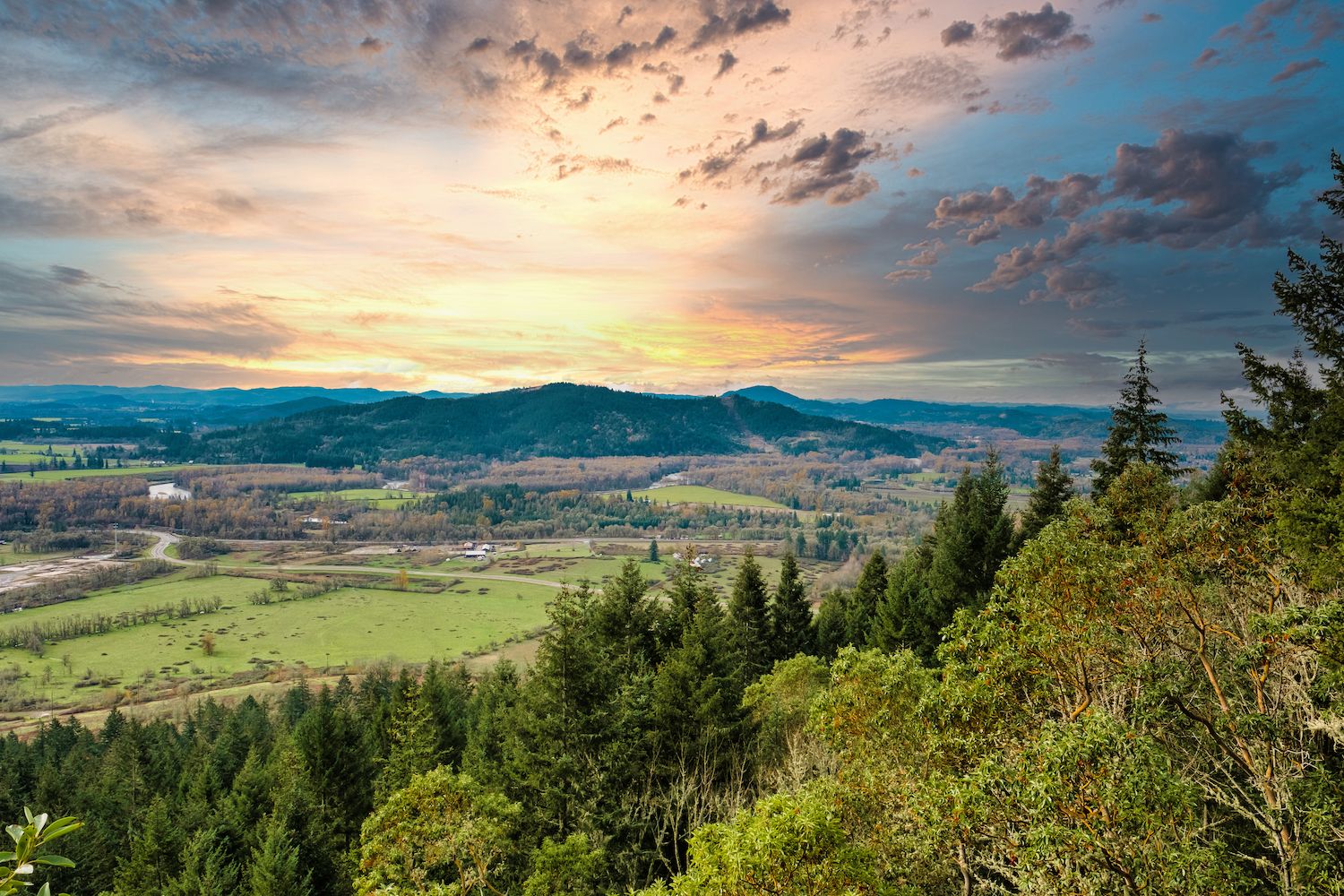 Los 9 mejores Psicólogos en Springfield (Oregon)