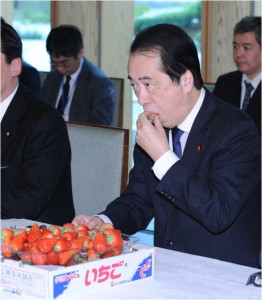 いちごを食べる菅直人元首相