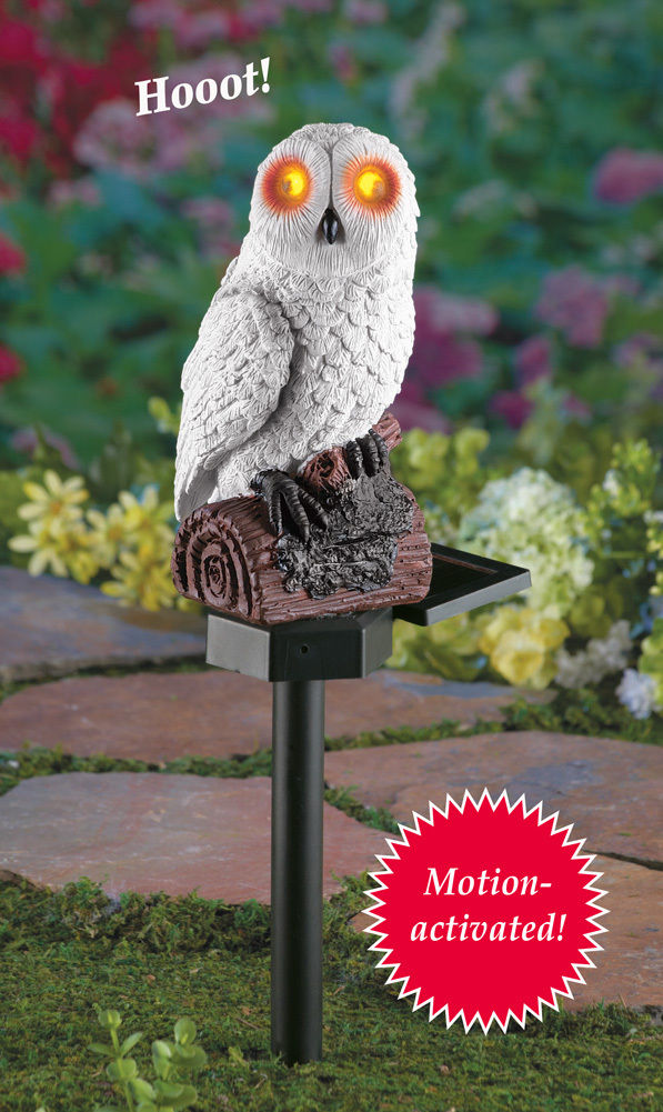 Chipmunk Insanity! Perennially Yours