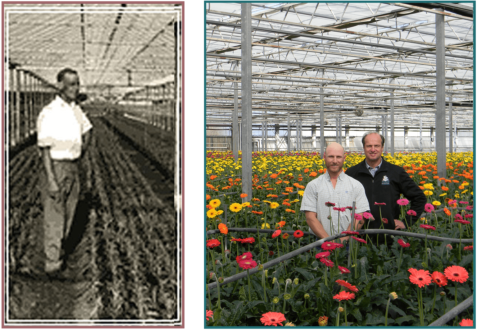 Wholesale Flowers Grower Seasonal Flowers Supplier in Oxnard, CA