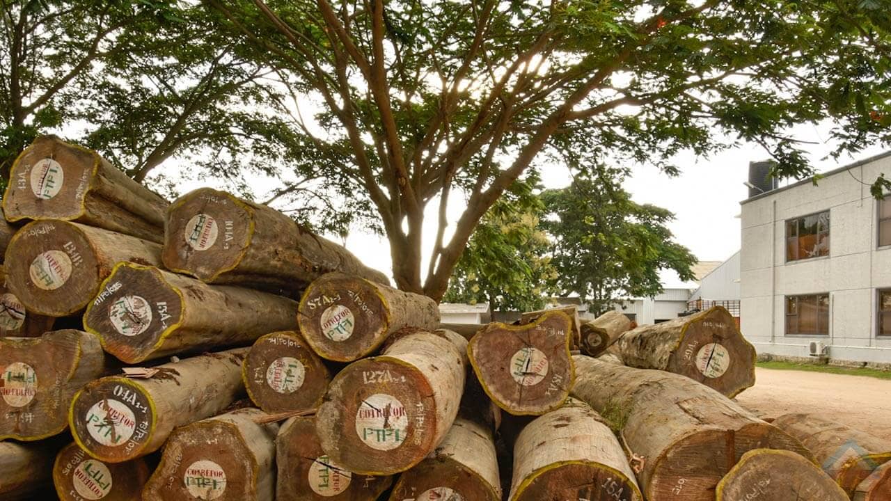 Lumber Pyramid Timber Associates