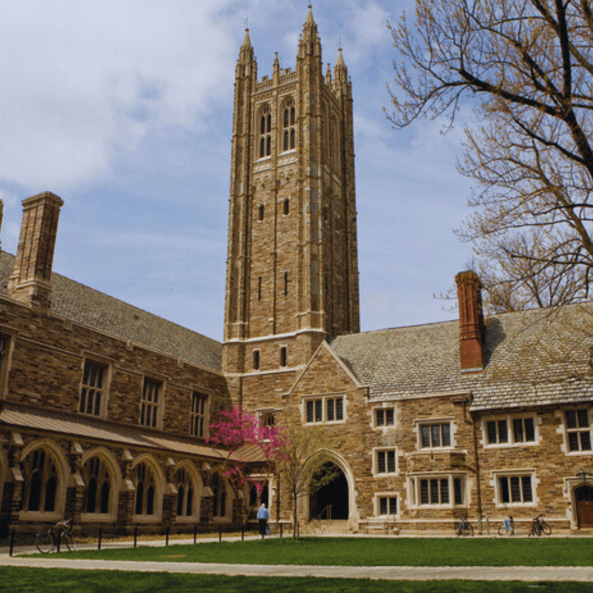 Master at Princeton A Comprehensive Guide