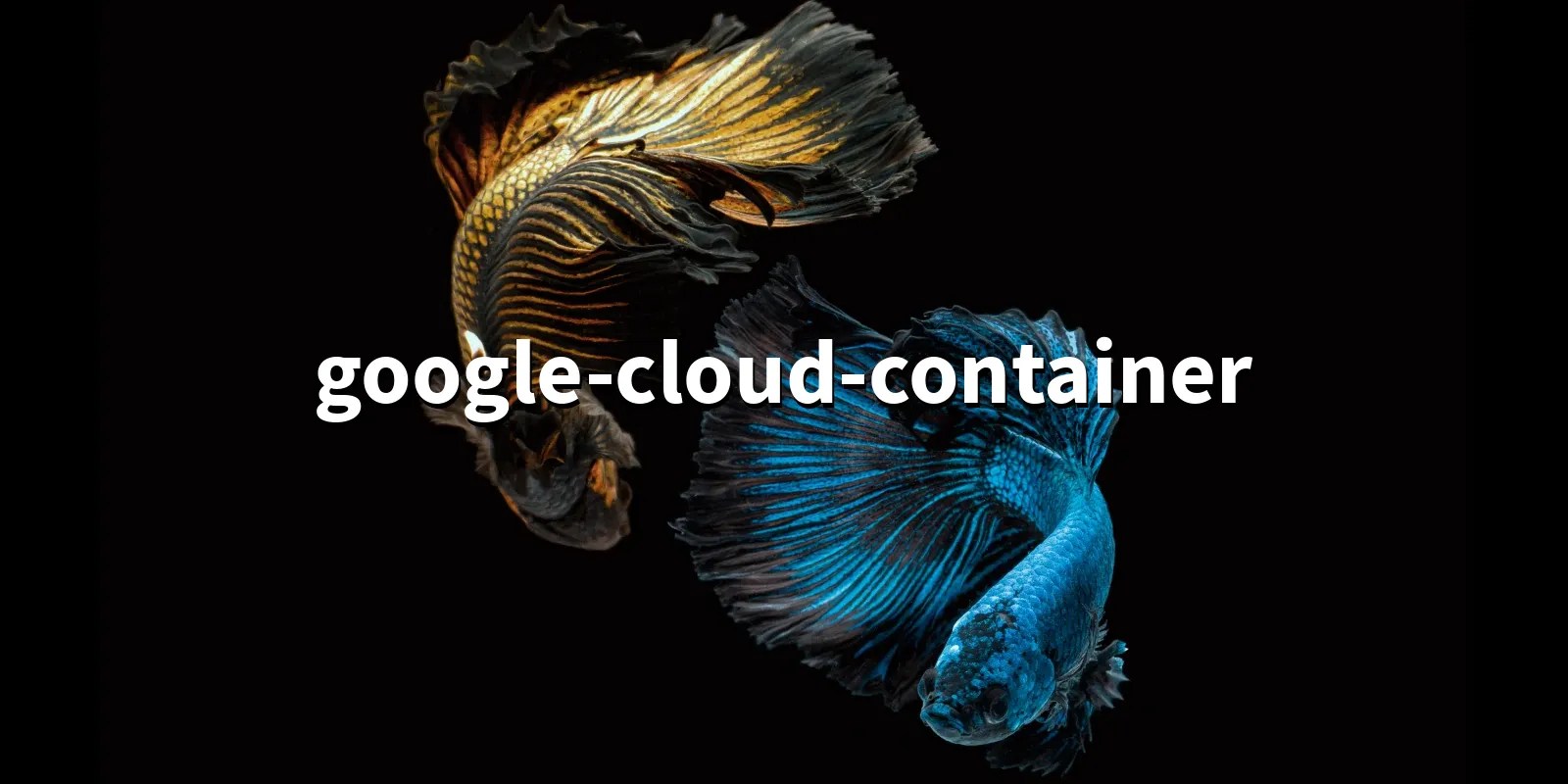 googlecloudcontainer 2.44.0 Google Cloud Container API client