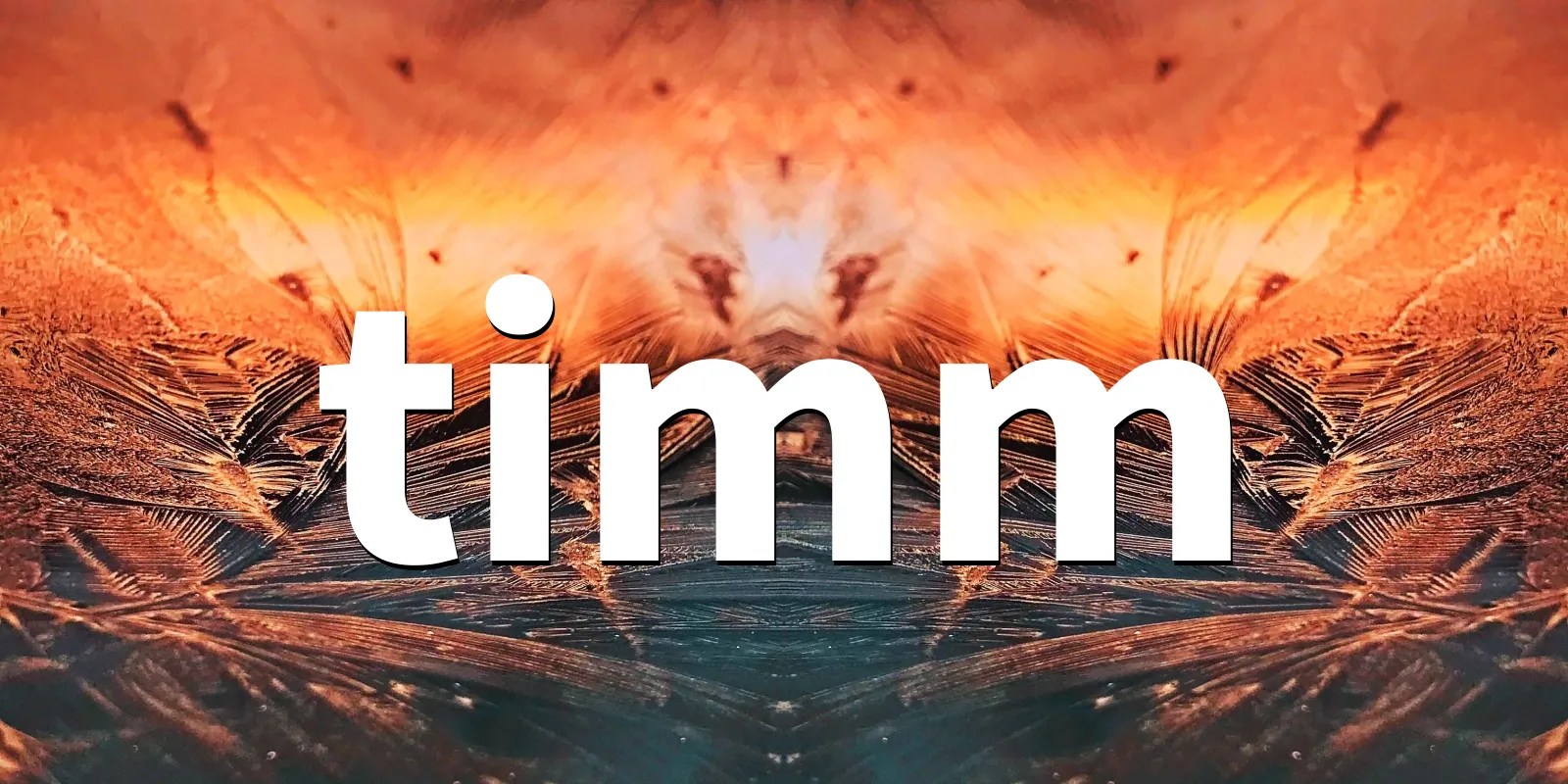 timm 1.0.8 PyTorch Image Models