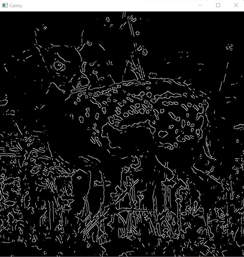 Canny Edge Detection using OpenCV Python Geeks