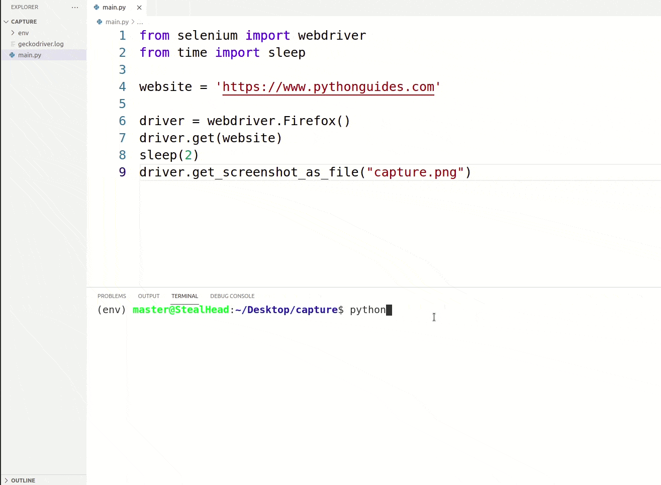 Python Screen Capture Python Guides
