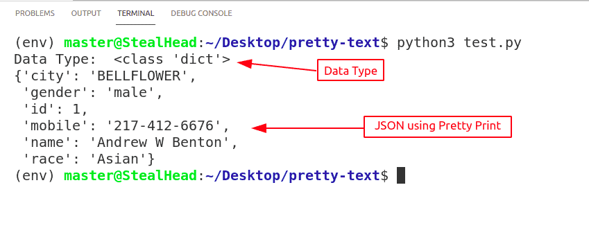 JSON Pretty Print using Python GeeksforGeeks