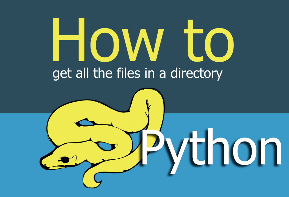 How to get all the file in a directory python programming