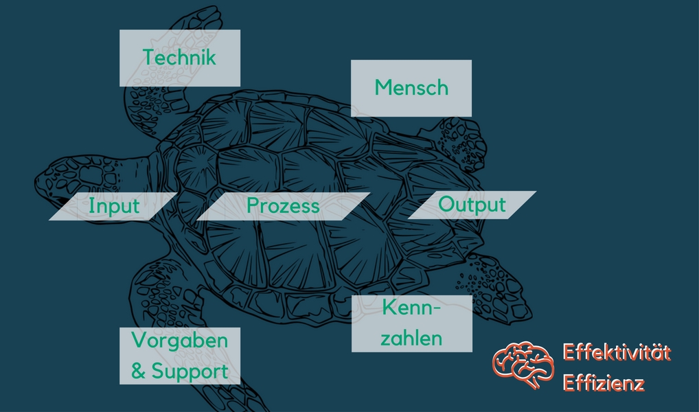 QMOA030 Prozessverbesserung mit der ProzessTurtle QEnthusiast