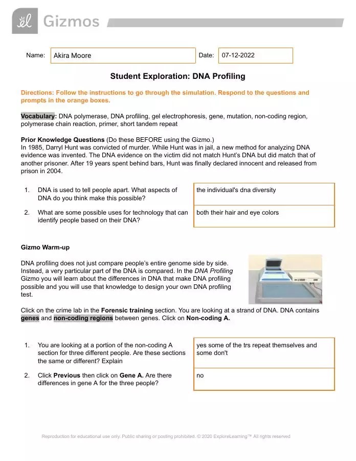 Diffusion Gizmo Answer Key Virtual High School KeepNotes
