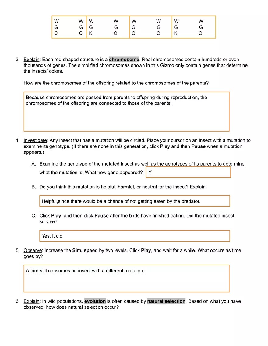 Natural and Artificial Selection Gizmo Answer Key Virtual High School