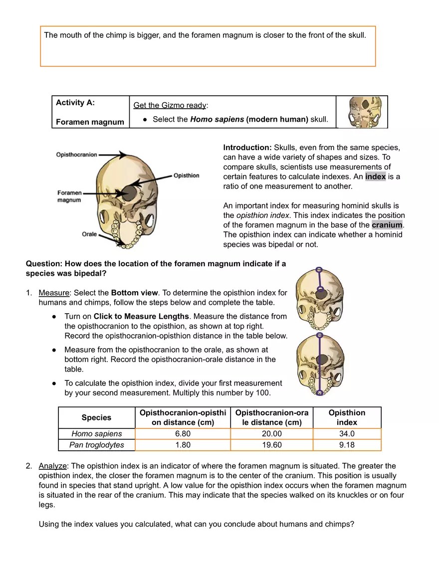 Human Evolution - Skull Analysis Gizmo Answer Key | Virtual High School