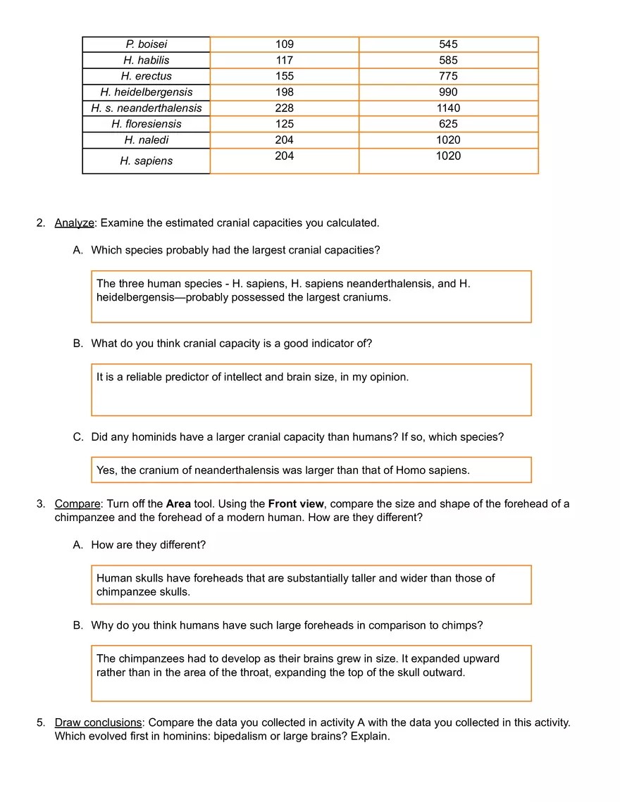 Human Evolution - Skull Analysis Gizmo Answer Key | Virtual High School
