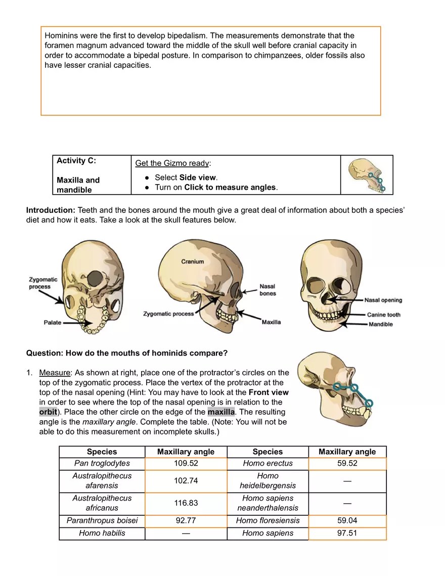 Human Evolution - Skull Analysis Gizmo Answer Key | Virtual High School