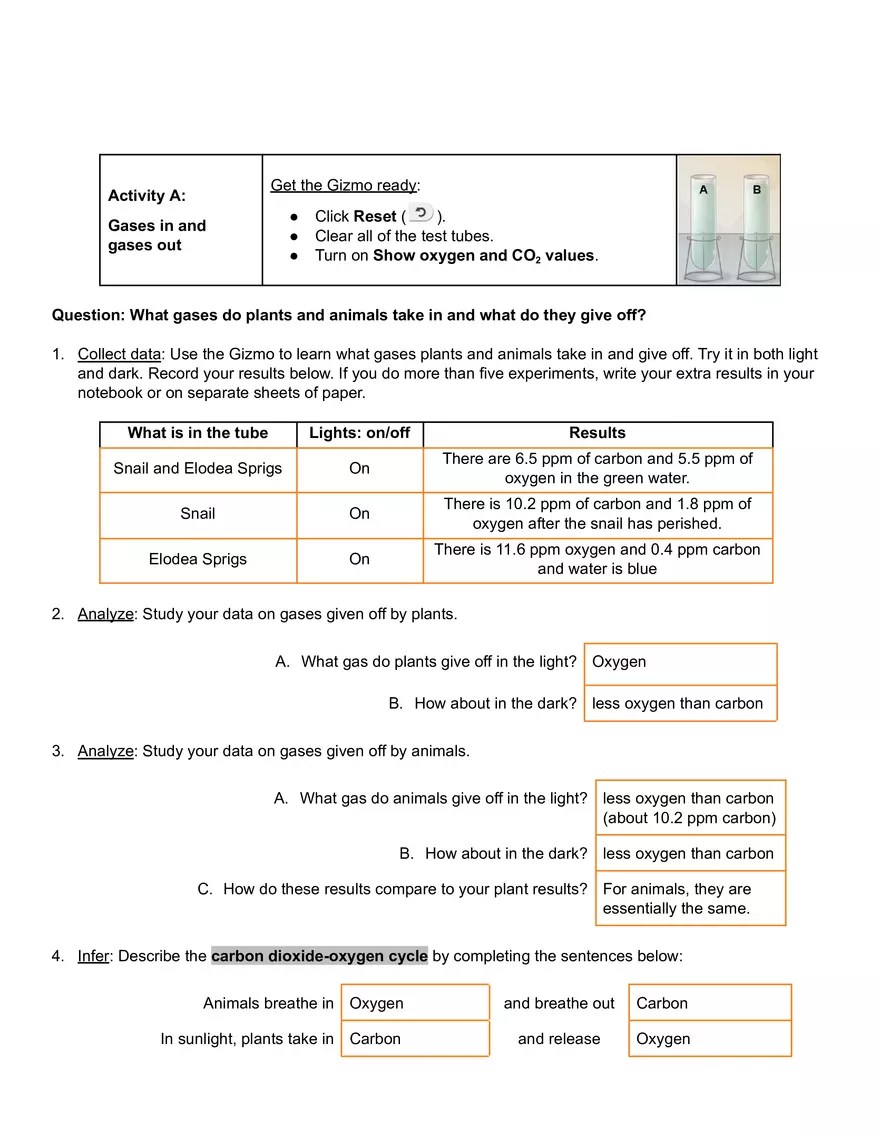 Plants and Snails Gizmo Answer Key | Virtual High School - Edubirdie