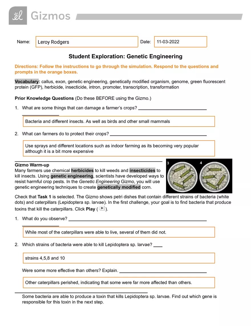 Genetic Engineering Gizmo Answer Key - Edubirdie