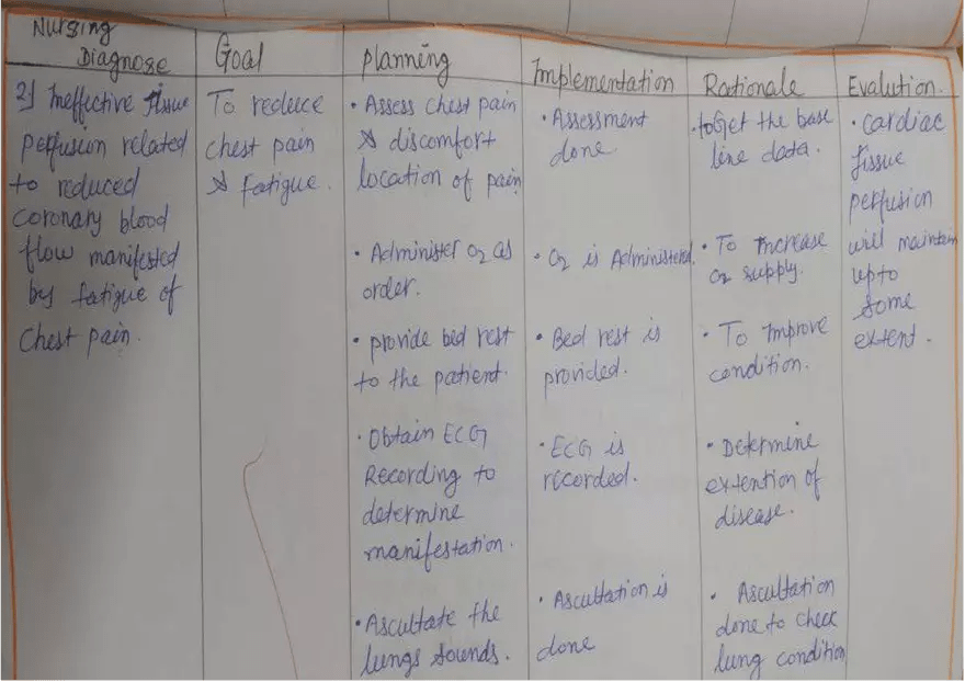 Nursing Care Plan - Edubirdie