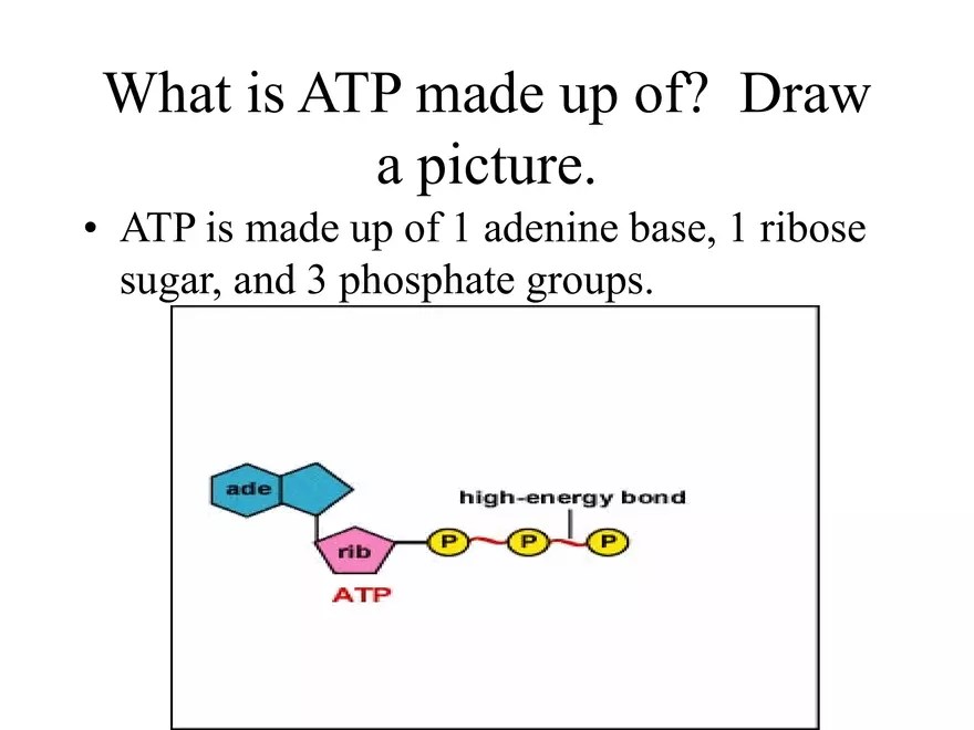 What is ATP and what does ATP stand for? WinstonSalem Forsyth County