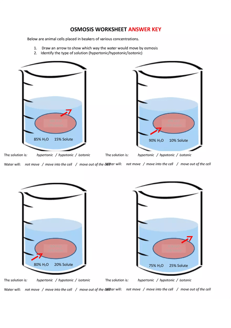 Osmosis Worksheet and Types of Solutions Answer KEY | High School