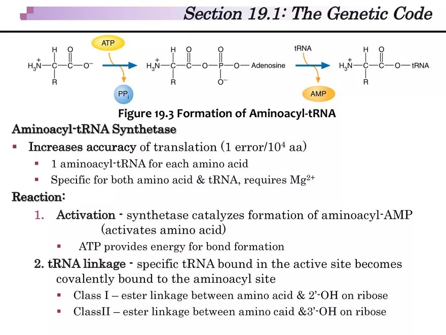 Section 19.1 the Code Edubirdie