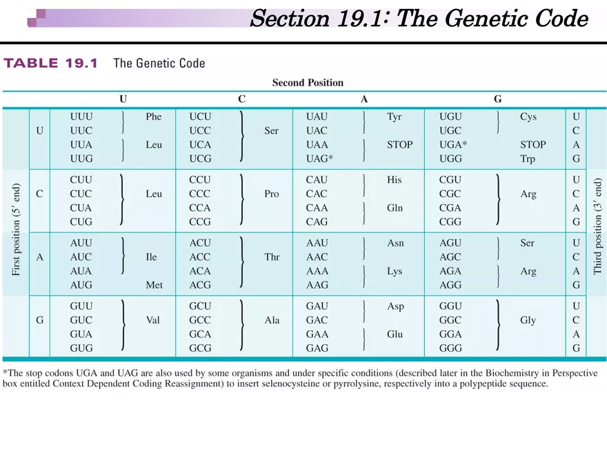Section 19.1 the Code Edubirdie