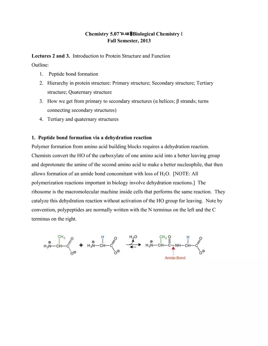 Lectures 2 and 3 Notes Introduction to Protein Structure and Function