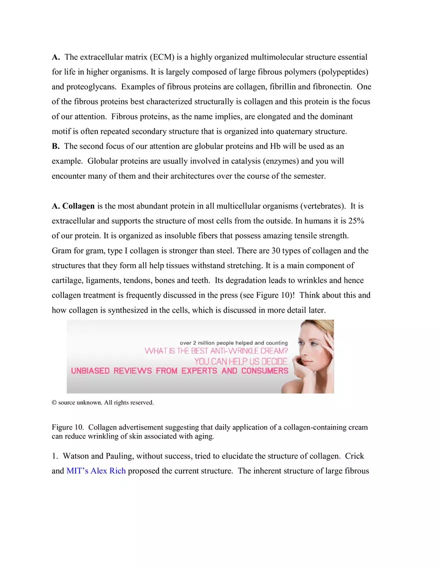 Lectures 2 and 3 Notes Introduction to Protein Structure and Function