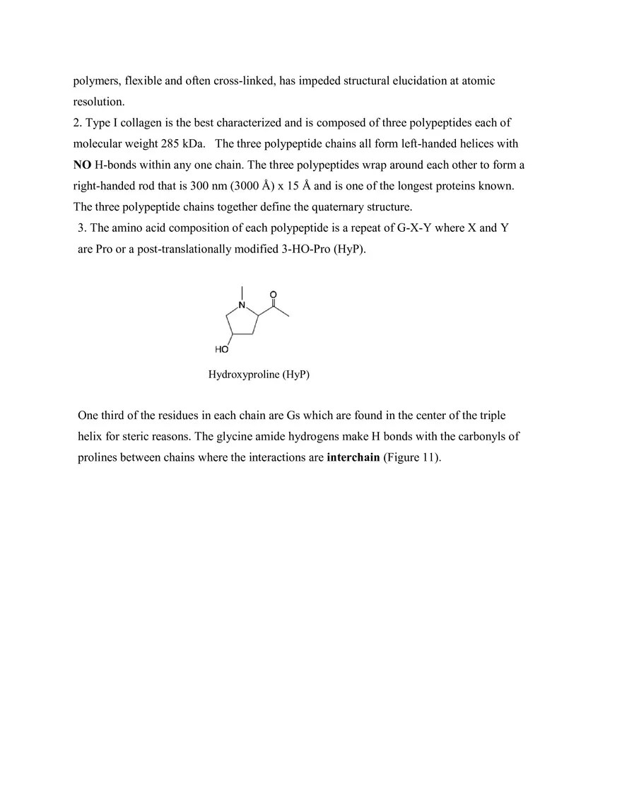 Lectures 2 and 3 Notes Introduction to Protein Structure and Function