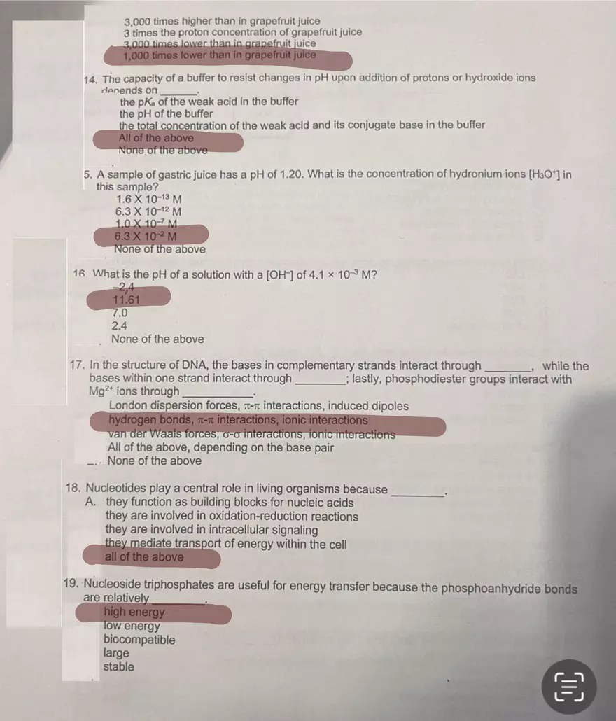 Exam l Answer Key Edubirdie