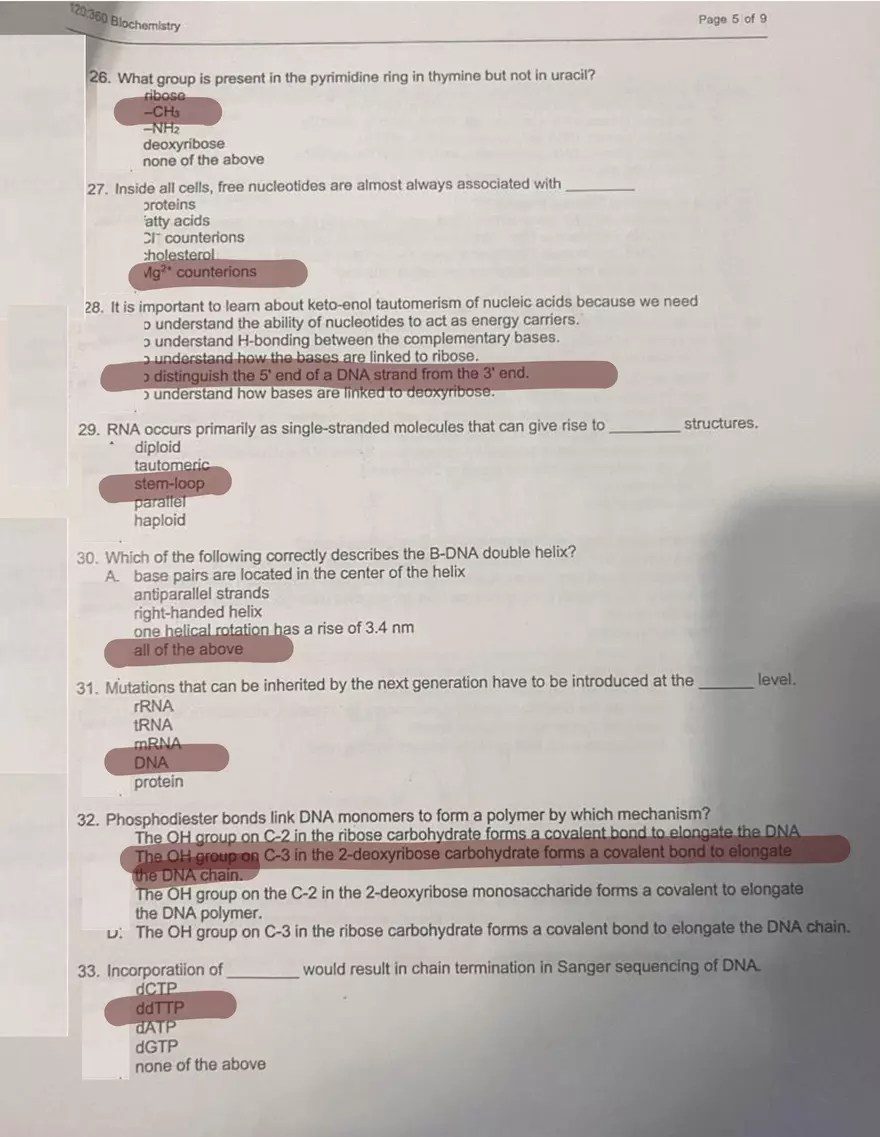 Exam l Answer Key Edubirdie