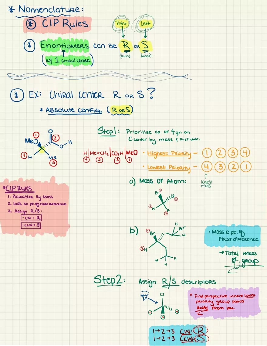 Nomenclature Lecture Notes York University Edubirdie