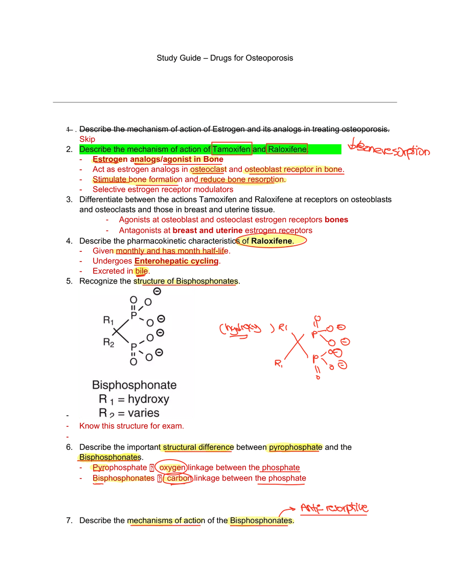 Study Guide Drugs for Osteoporosis Edubirdie