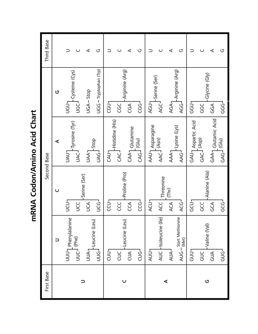 Amino Acid Chart Edubirdie