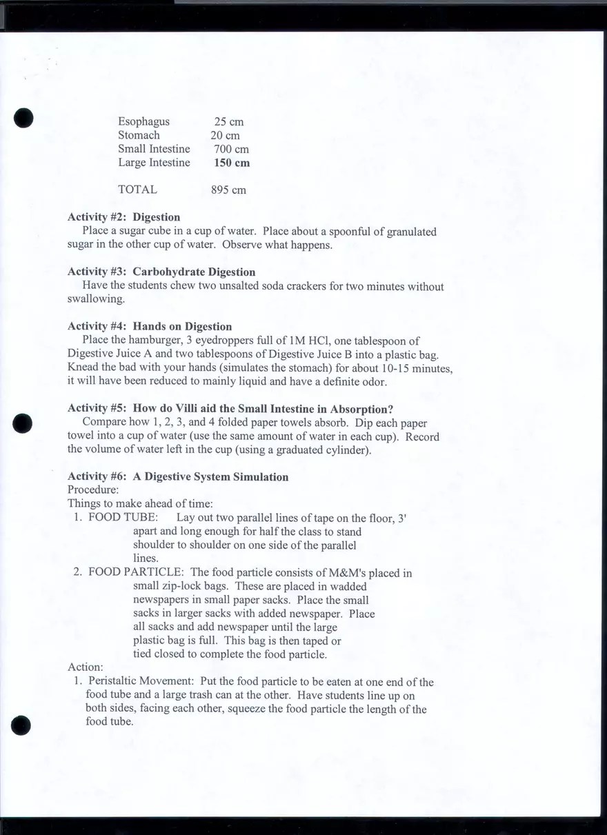 What Happens When You Eat Edubirdie