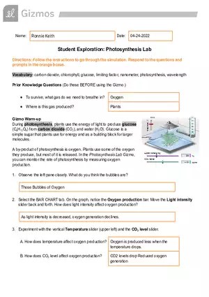 Chemical Changes Gizmo Answer Key | Virtual High School - Edubirdie