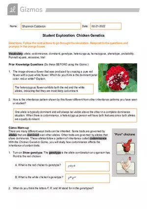 Chemical Changes Gizmo Answer Key | Virtual High School - Edubirdie