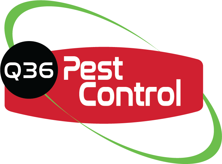 Q36 Pest Control Knoxville Premier Pest Control Service