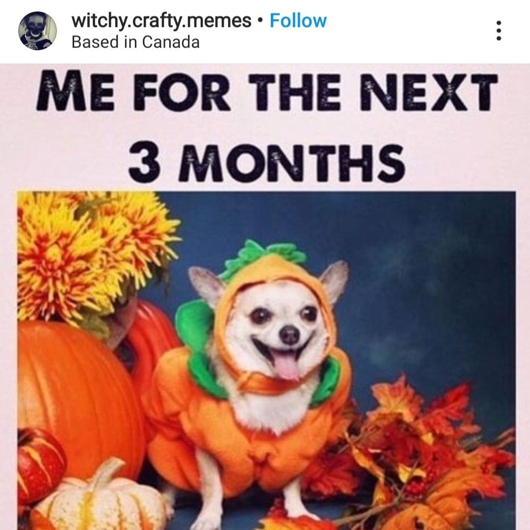 Our 20 Favorite Halloween Memes Women's Business Daily