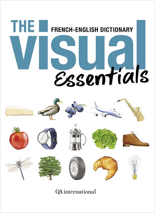 The Visual Essentials QA international