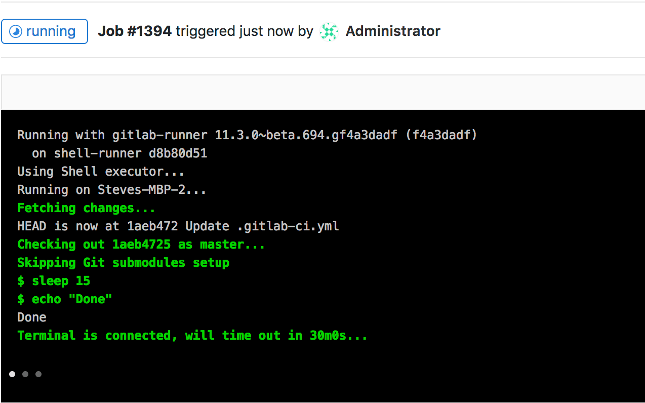 Index · Interactive web terminal · Ci · Help · GitLab