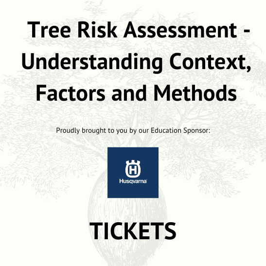 Tree Risk Assessment Understanding Context, Factors and