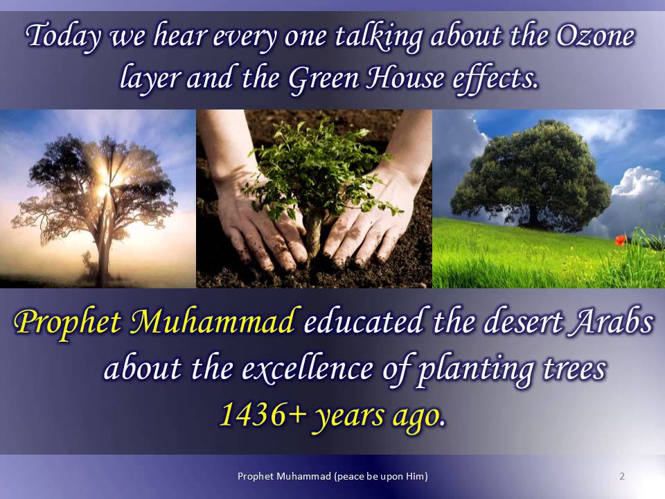 Planting a Tree in Islam Qamar Islam Khan