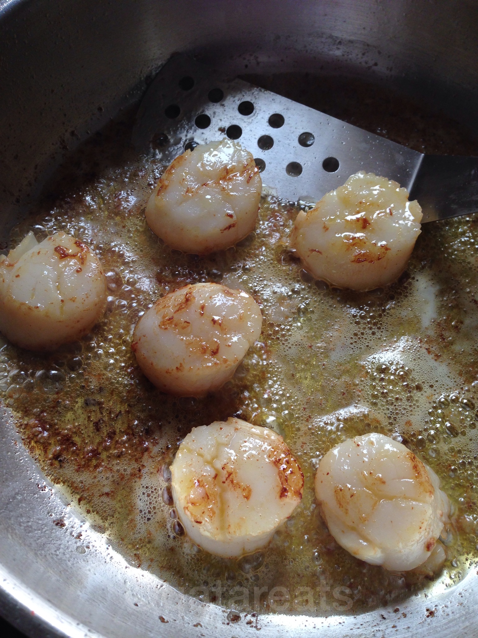 Qatar Eats Cooks Pasta Marinara and Pan Seared Scallops Qatar Eats