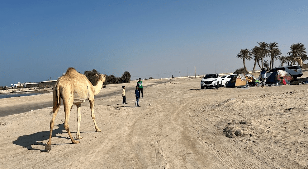 Camping in Qatar Camping Spots, Equipment & Glamping Guide Qatar