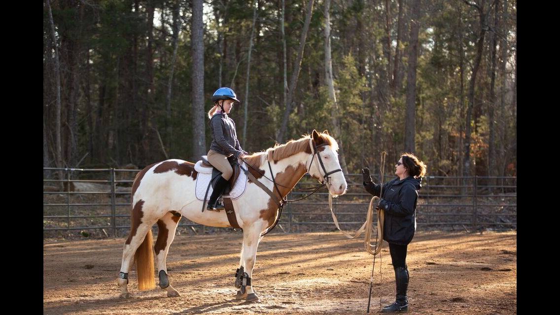 Top Places To Go Horseback Riding In Charlotte NC
