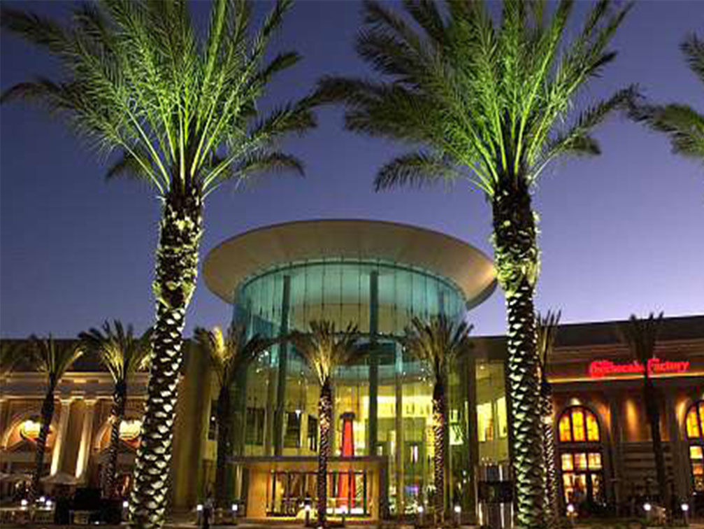 Cypress Creek Town Center QCI Group